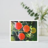 Cherry Tomato Briefkaart (Staand voorkant)