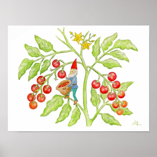 Cherry Tomato Gnome art print (Voorkant)