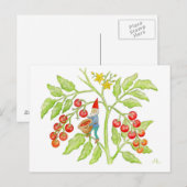 Cherry Tomato Gnome briefkaart (Voorkant / Achterkant)