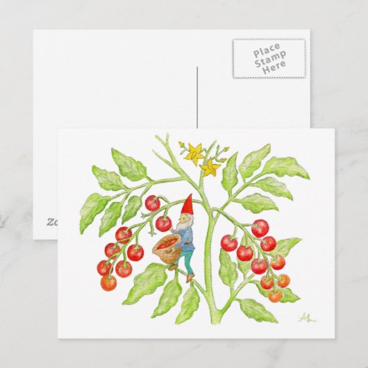 Cherry Tomato Gnome briefkaart (Voorkant / Achterkant)