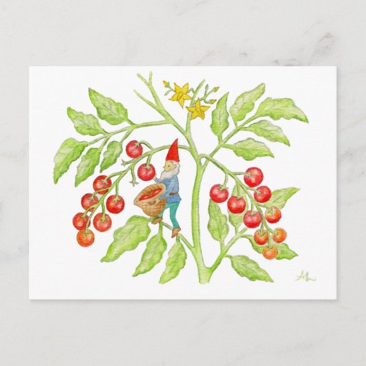 Cherry Tomato Gnome briefkaart (Voorkant)