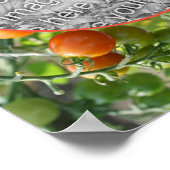 Cherry Tomatoes Lijst Creëer Uw eigen foto Poster (Hoek)