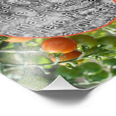 Cherry Tomatoes Lijst Creëer Your Own 8x10 Foto Afdruk (Hoek)