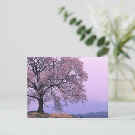 Cherry Tree Briefkaart (Staand voorkant)