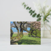 Cherry Tree Cherokee Proverb Briefkaart (Staand voorkant)