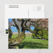 Cherry Tree Cherokee Proverb Briefkaart (Voorkant / Achterkant)