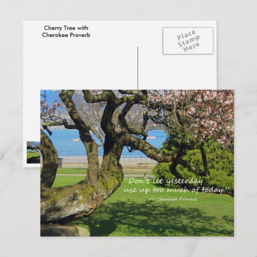 Cherry Tree Cherokee Proverb Briefkaart (Voorkant / Achterkant)
