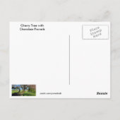 Cherry Tree Cherokee Proverb Briefkaart (Achterkant)