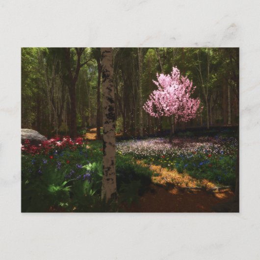 Cherry Tree Concerto Briefkaart (Voorkant)