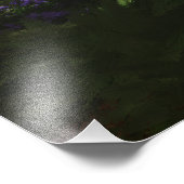 Cherry Tree Concerto Photo Print Foto Afdruk (Hoek)