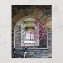Cherry Tree door de Arches Briefkaart