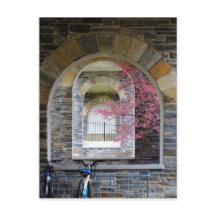 Cherry Tree door de Arches