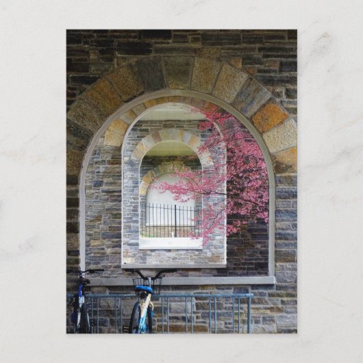 Cherry Tree door de Arches Briefkaart (Voorkant)