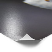 Cherry Tree Foto Afdruk (Hoek)