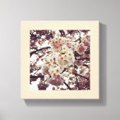 Cherry Tree in Bloom, Oregon Canvas Afdruk (Voorkant)