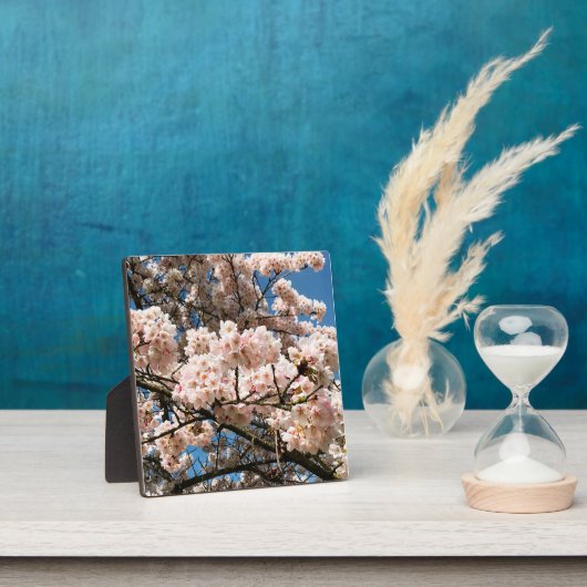 Cherry Tree in Bloom, Oregon Fotoplaat (Insitu)