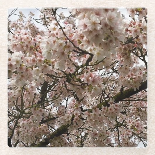 Cherry Tree in Bloom, Oregon Glazen Onderzetter (Voorkant)