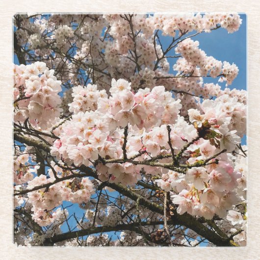 Cherry Tree in Bloom, Oregon Glazen Onderzetter (Voorkant)
