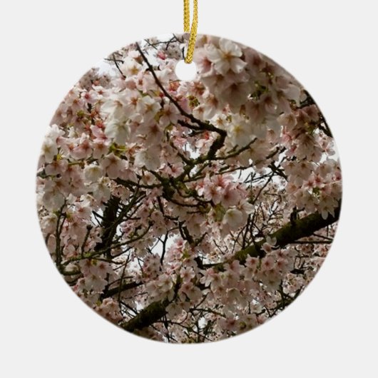 Cherry Tree in Bloom, Oregon Keramisch Ornament (Voorkant)