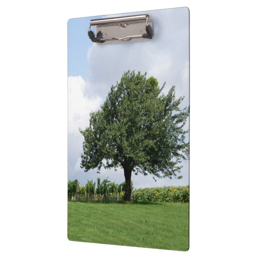 Cherry Tree in Summer Klembord (Links)