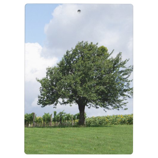 Cherry Tree in Summer Klembord (Achterkant)