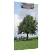 Cherry Tree in Summer Klembord (Rechts)