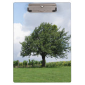 Cherry Tree in Summer Klembord (Voorkant)