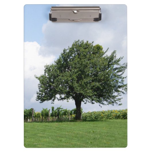 Cherry Tree in Summer Klembord (Voorkant)