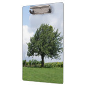 Cherry Tree in Summer Klembord (Links)