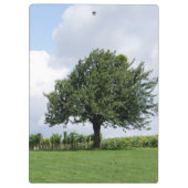 Cherry Tree in Summer Klembord (Achterkant)