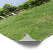 Cherry Tree in Summer Poster (Hoek)