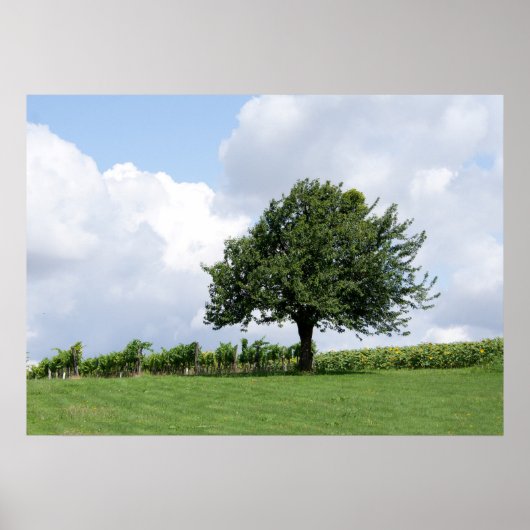 Cherry Tree in Summer Poster (Voorkant)