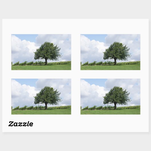 Cherry Tree in Summer Rechthoekige Sticker (Vel)