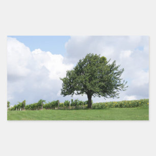 Cherry Tree in Summer Rechthoekige Sticker