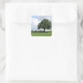 Cherry Tree in Summer Vierkante Sticker (Tas)
