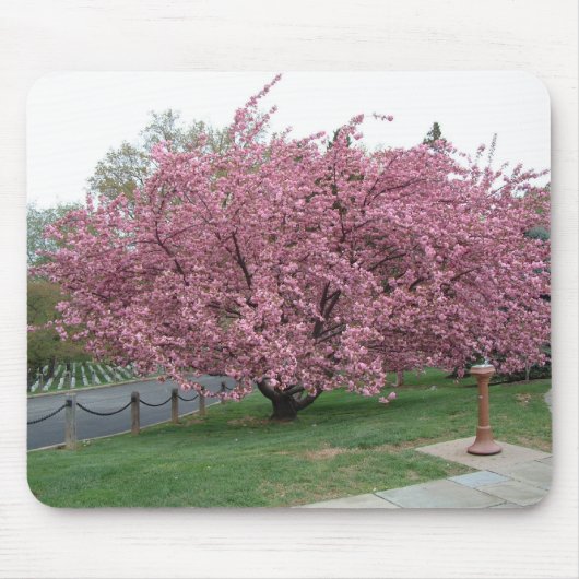Cherry Tree Muismat (Voorkant)