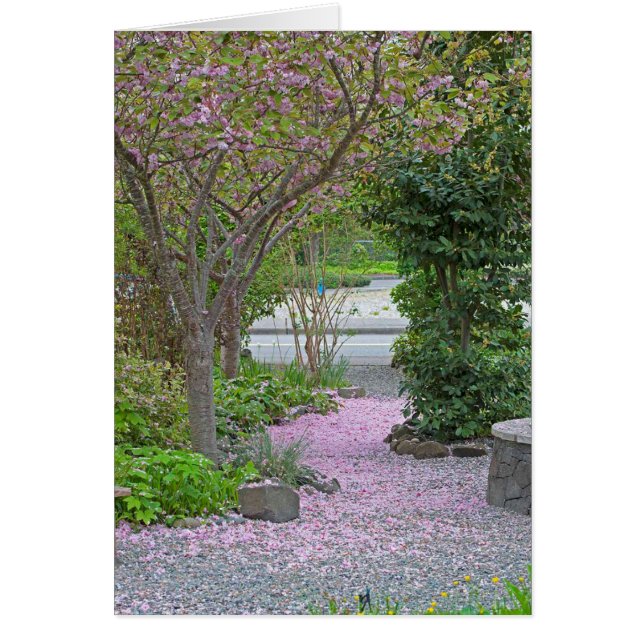 Cherry Tree Petal Path (Voorkant)