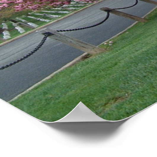 Cherry Tree Poster (Hoek)