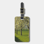 Cherry Trees Bagagelabel (Voorkant verticaal)