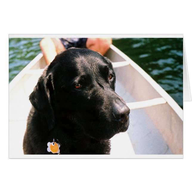 Chert Dog (Voorkant Horizontaal)