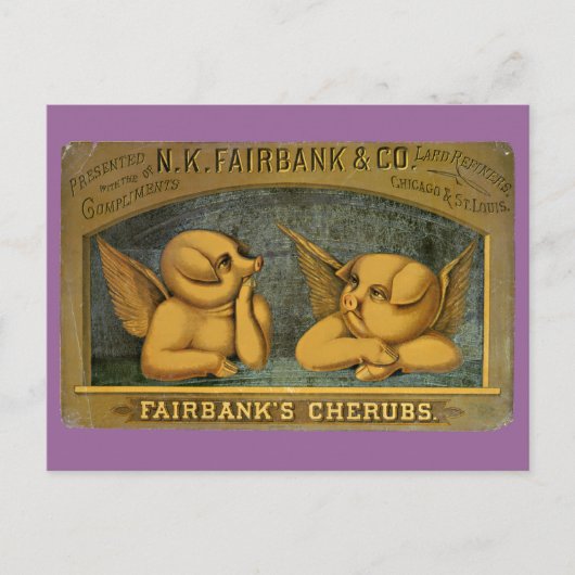 Cherub Angel Pigs Briefkaart (Voorkant)