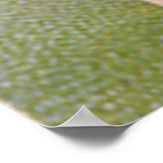 Cherub Cupid Heart Violets Valentijn Poster (Hoek)