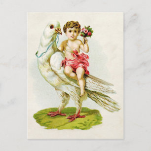 Cherub met Rozen Rijden op een Duif Briefkaart