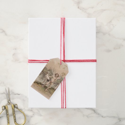 Cherub met Stork bij Lake Cadeaulabel (Met Touw)