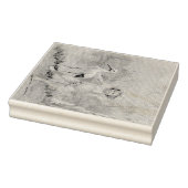 Cherub met Stork bij Lake Rubberstempel (Stempel)