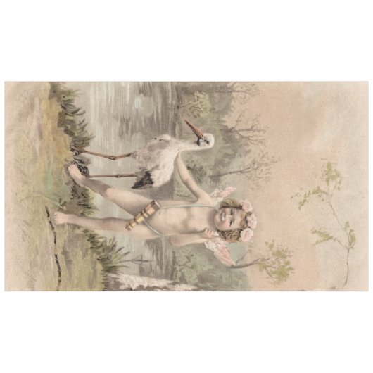  Cherub met Stork bij Lake Tafelkleed (Voorkant (Horizontaal))