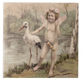  Cherub met Stork bij Lake Tegeltje