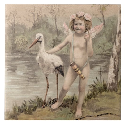  Cherub met Stork bij Lake Tegeltje (Voorkant)