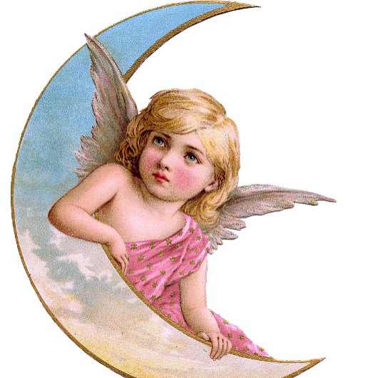 Cherub Roze keramische puin Knop