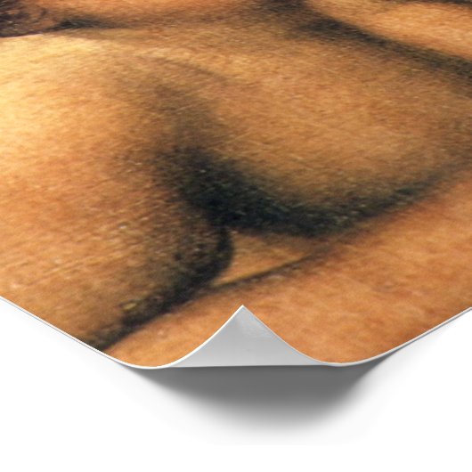 Cherubim Poster (Hoek)